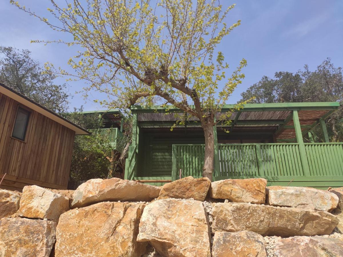 Pola Giverola Camp Tossa de Mar Exteriör bild