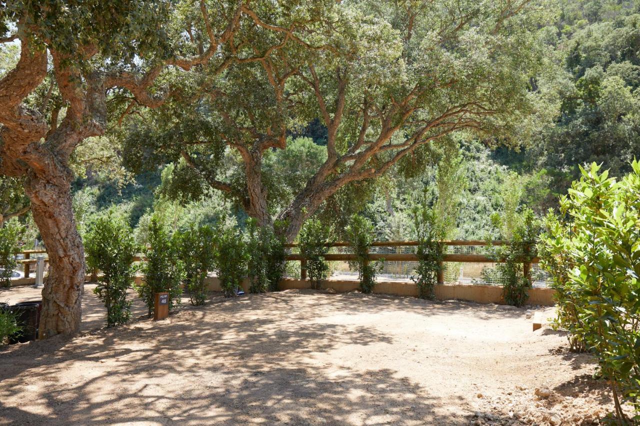 Pola Giverola Camp Tossa de Mar Exteriör bild