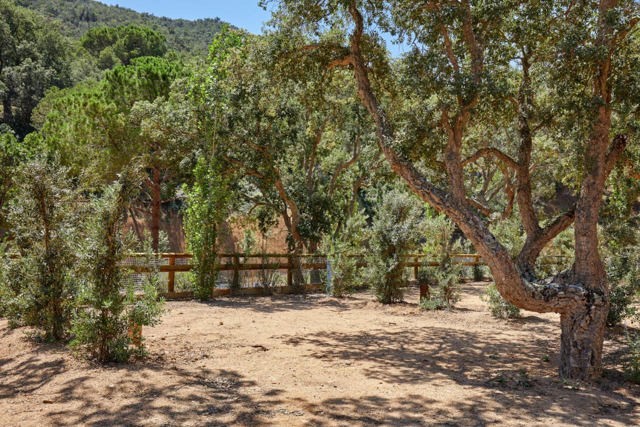 Pola Giverola Camp Tossa de Mar Exteriör bild