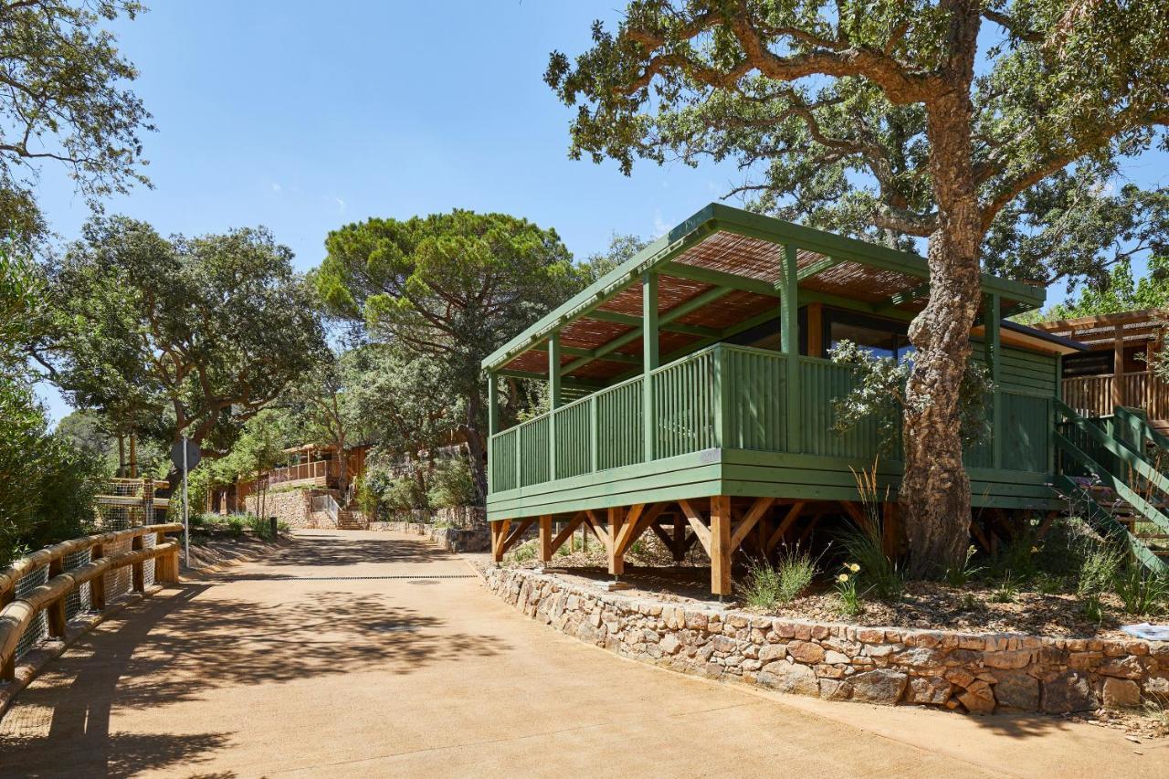 Pola Giverola Camp Tossa de Mar Exteriör bild